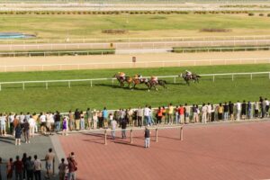 Sports Live Betting