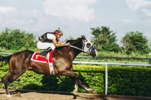 Sports Live Betting