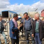 supplier of livestock feed