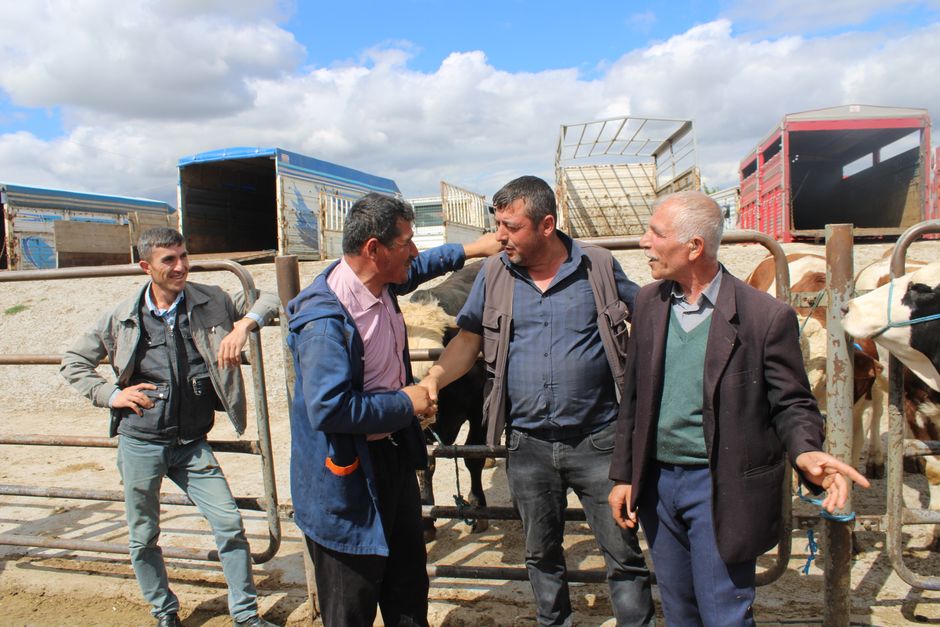 supplier of livestock feed