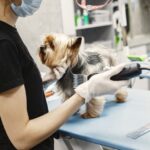 pet boarding facility