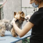 peluquería canina cerca