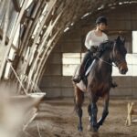 horse riding lessons